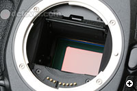 Canon EOS 1Ds Mark III 採用的全片幅 2110 萬像 CMOS