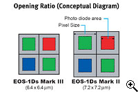 Canon EOS 1Ds Mark III:1Ds Mark II 與 1Ds Mark III 像點尺吋的比較