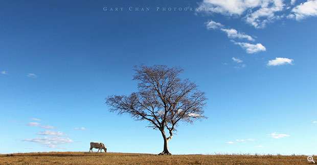 ISO100、24mm、f/13.0、1/125s