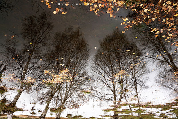 ISO160、24mm、f/8.0、1/80s