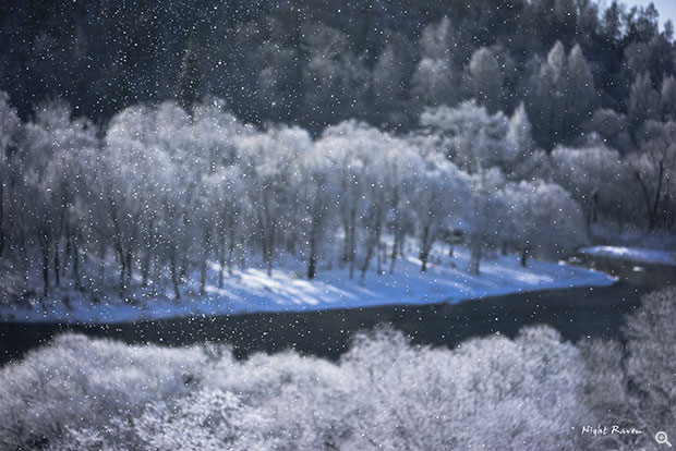 輕盈的霧淞在空中像雪一樣紛落（SONY A7R + ZEISS FE 55mm F1.8 ZA @ 55mm、ISO 50、f/2、1/2500s）
