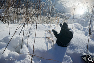 看來有人遇到雪難了（笑）（SONY A7R + FE 28-70mm F3.5-5.6 OSS @ 32mm、ISO 50、f/8、1/1000s）