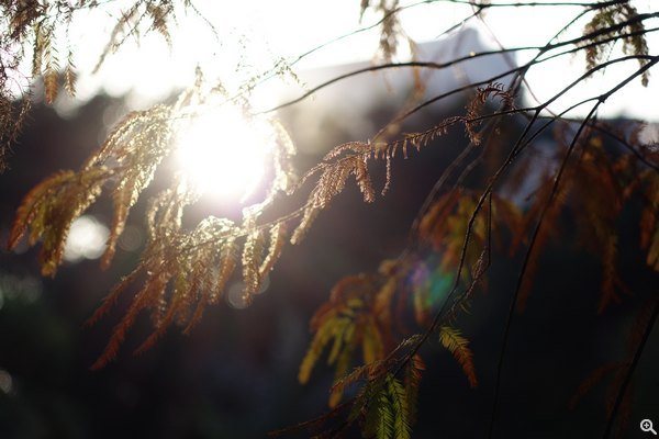 ISO125、200mm、f/2.8、1/100s
